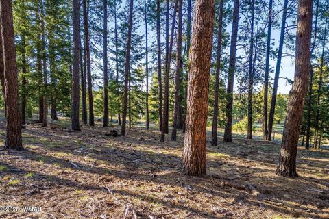 Tiny photo for 10 N 1337, Greer, AZ 85927 (MLS # 257047)