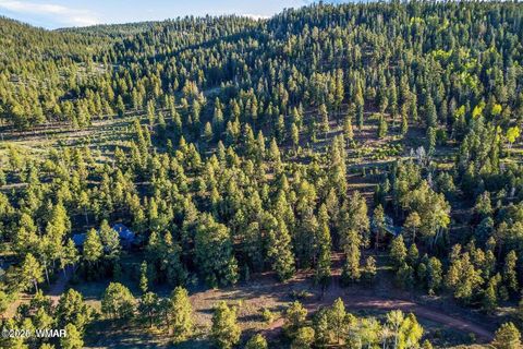 Tiny photo for 10 N 1337, Greer, AZ 85927 (MLS # 257047)