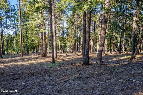 Tiny photo for 10 N 1337, Greer, AZ 85927 (MLS # 257047)