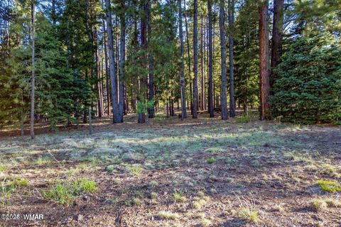 Photo of 10 N 1337, Greer, AZ 85927 (MLS # 257047)