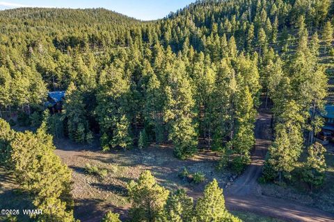 Tiny photo for 10 N 1337, Greer, AZ 85927 (MLS # 257047)