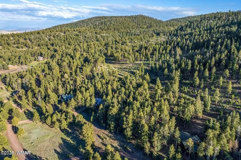 Tiny photo for 10 N 1337, Greer, AZ 85927 (MLS # 257047)