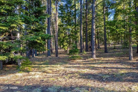 Tiny photo for 10 N 1337, Greer, AZ 85927 (MLS # 257047)