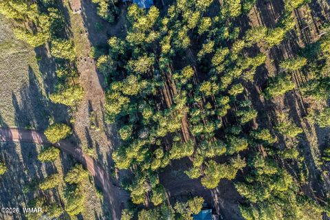 Tiny photo for 10 N 1337, Greer, AZ 85927 (MLS # 257047)