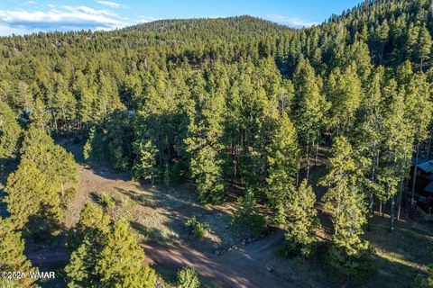 Tiny photo for 10 N 1337, Greer, AZ 85927 (MLS # 257047)