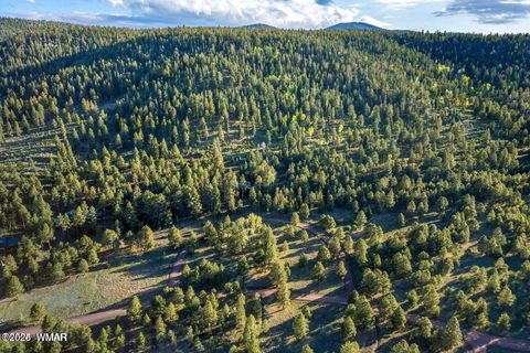 Tiny photo for 10 N 1337, Greer, AZ 85927 (MLS # 257047)
