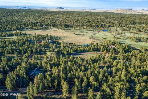Tiny photo for 10 N 1337, Greer, AZ 85927 (MLS # 257047)