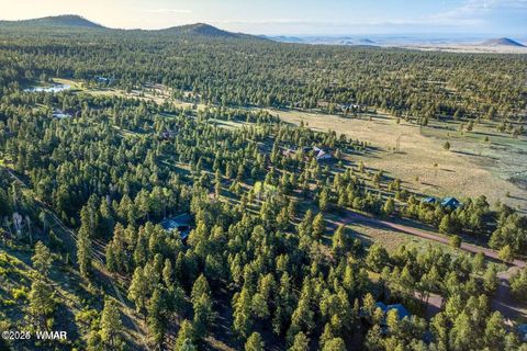 Tiny photo for 10 N 1337, Greer, AZ 85927 (MLS # 257047)