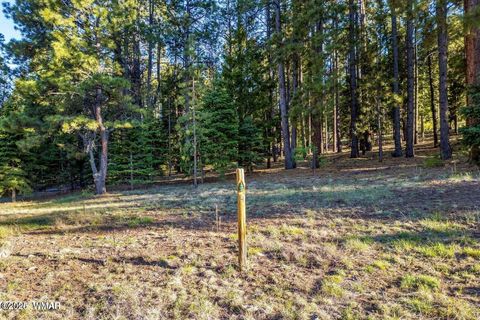 Tiny photo for 10 N 1337, Greer, AZ 85927 (MLS # 257047)