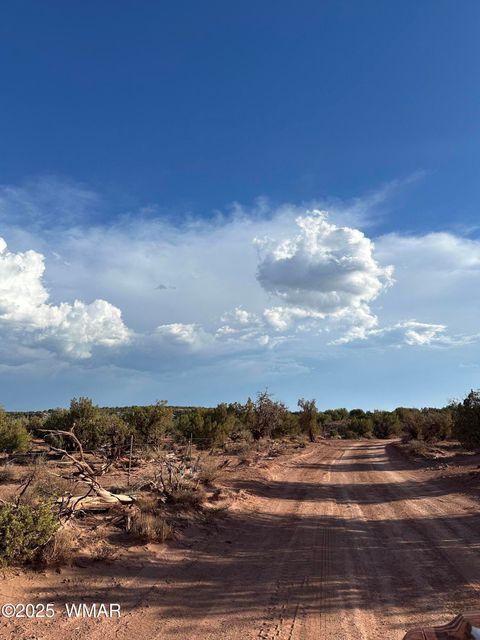 Tiny photo for TBD 404-63-015D, White Mountain Lake, AZ 85912 (MLS # 257519)