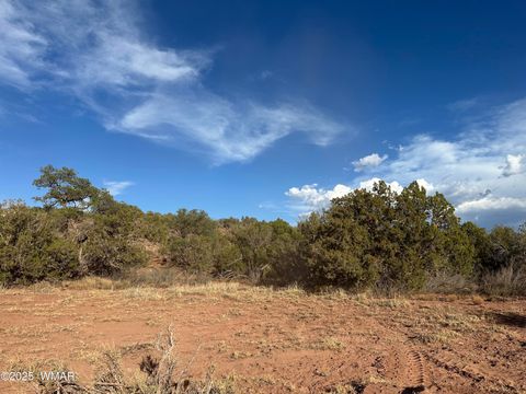 Tiny photo for TBD 404-63-015D, White Mountain Lake, AZ 85912 (MLS # 257519)