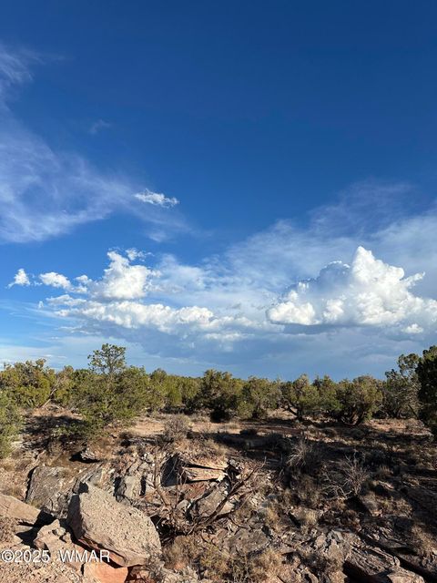 Tiny photo for TBD 404-63-015D, White Mountain Lake, AZ 85912 (MLS # 257519)