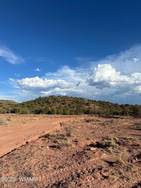 Photo of TBD 404-63-015D, White Mountain Lake, AZ 85912 (MLS # 257519)