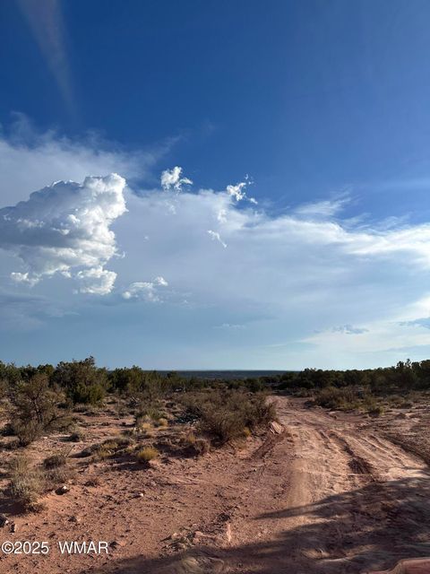 Tiny photo for TBD 404-63-015D, White Mountain Lake, AZ 85912 (MLS # 257519)