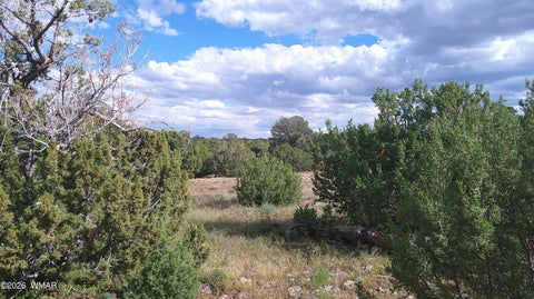 Tiny photo for 33 County Road, Concho, AZ 85924 (MLS # 263667)