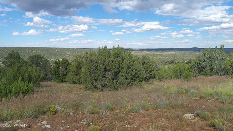 Tiny photo for 33 County Road, Concho, AZ 85924 (MLS # 263667)