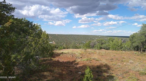 Tiny photo for 33 County Road, Concho, AZ 85924 (MLS # 263667)