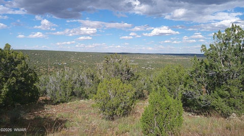 Photo of 33 County Road, Concho, AZ 85924 (MLS # 263667)
