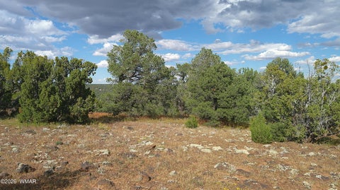 Tiny photo for 33 County Road, Concho, AZ 85924 (MLS # 263667)