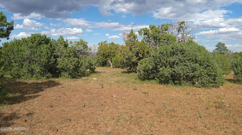 Tiny photo for 33 County Road, Concho, AZ 85924 (MLS # 263667)