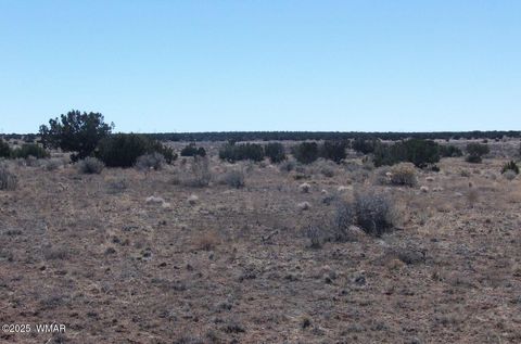 Photo of TBD #10 Parcel 106-18-010, Holbrook, AZ 86025 (MLS # 258274)