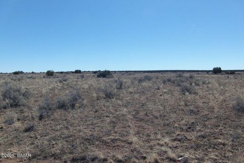 Tiny photo for TBD #10 Parcel 106-18-010, Holbrook, AZ 86025 (MLS # 258274)