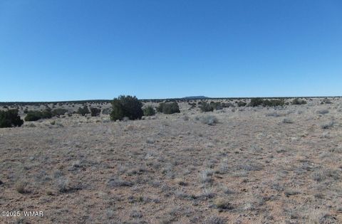 Tiny photo for TBD #10 Parcel 106-18-010, Holbrook, AZ 86025 (MLS # 258274)