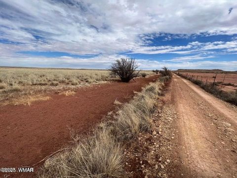 Tiny photo for 6609 Lilac Road, Snowflake, AZ 85937 (MLS # 258108)