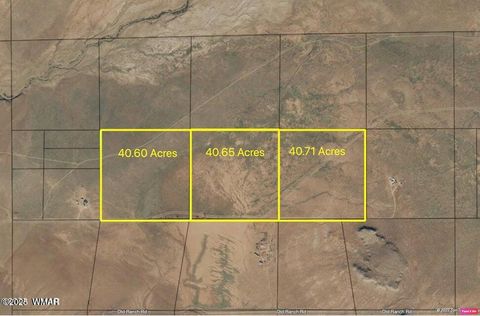 Tiny photo for 6609 Lilac Road, Snowflake, AZ 85937 (MLS # 258108)