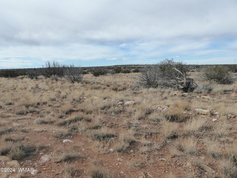 Tiny photo for 228 Gila #2, Heber, AZ 85928 (MLS # 250409)