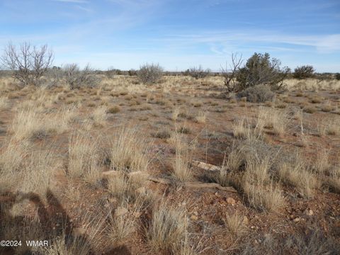 Tiny photo for 228 Gila #2, Heber, AZ 85928 (MLS # 250409)