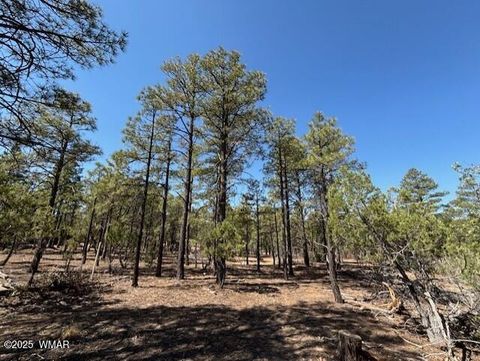 Tiny photo for 181 S Cliffrose Lane, Show Low, AZ 85901 (MLS # 260314)