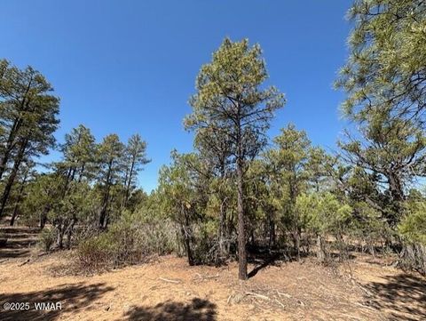 Tiny photo for 181 S Cliffrose Lane, Show Low, AZ 85901 (MLS # 260314)