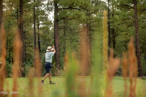 Tiny photo for 2360 Pinegrass Road, Show Low, AZ 85901 (MLS # 259458)