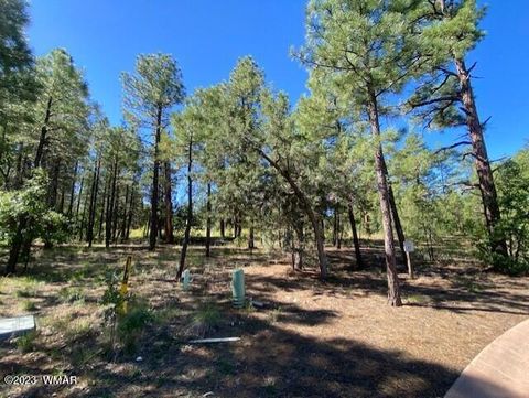 Tiny photo for 2360 Pinegrass Road, Show Low, AZ 85901 (MLS # 259458)