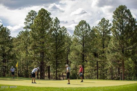 Tiny photo for 2360 Pinegrass Road, Show Low, AZ 85901 (MLS # 259458)