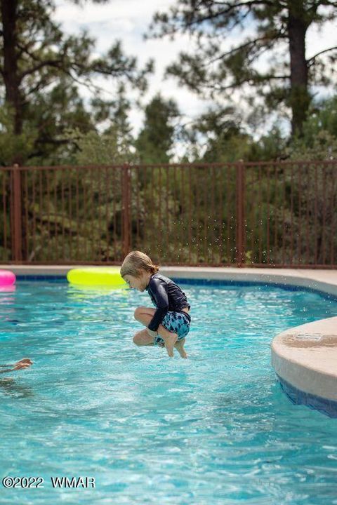 Tiny photo for 2360 Pinegrass Road, Show Low, AZ 85901 (MLS # 259458)