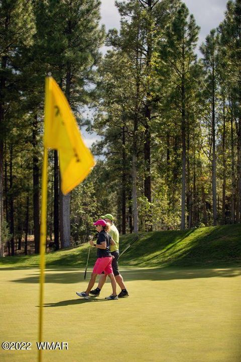 Tiny photo for 2360 Pinegrass Road, Show Low, AZ 85901 (MLS # 259458)