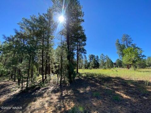 Tiny photo for 2360 Pinegrass Road, Show Low, AZ 85901 (MLS # 259458)