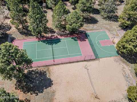 Tiny photo for 2361 Quarter Horse Trail, Overgaard, AZ 85933 (MLS # 252675)