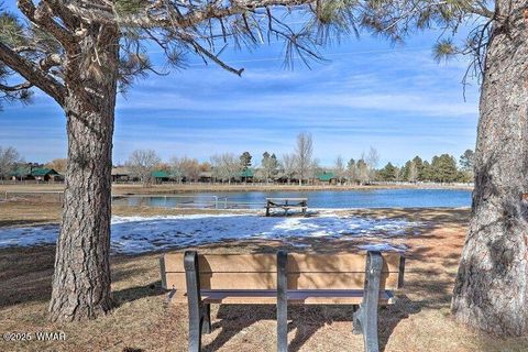Tiny photo for 2361 Quarter Horse Trail, Overgaard, AZ 85933 (MLS # 252675)
