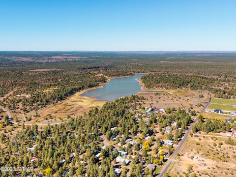 Tiny photo for 1091 N 22nd Avenue, Show Low, AZ 85901 (MLS # 260135)