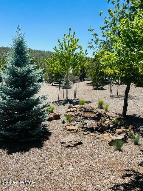 Tiny photo for 891 W Snow Creek Trail, Show Low, AZ 85901 (MLS # 261221)
