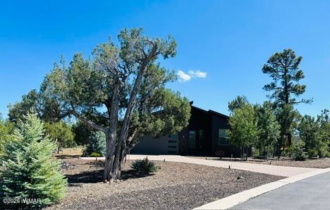 Tiny photo for 891 W Snow Creek Trail, Show Low, AZ 85901 (MLS # 261221)