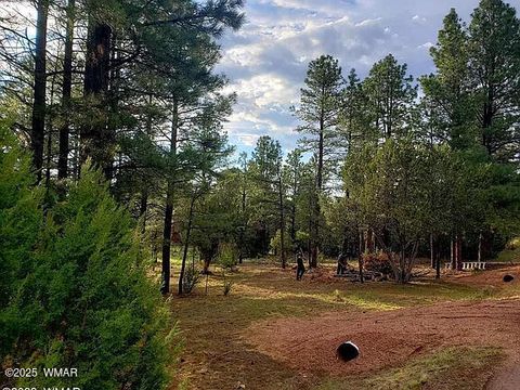 Photo of 2974 Lookout Lane, Overgaard, AZ 85933 (MLS # 258599)