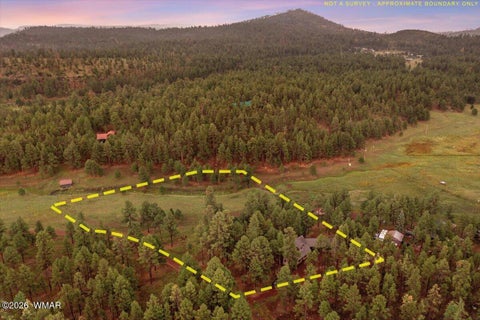 Tiny photo for 36 County Rd 2147, Alpine, AZ 85920 (MLS # 262743)
