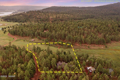 Tiny photo for 36 County Rd 2147, Alpine, AZ 85920 (MLS # 262743)
