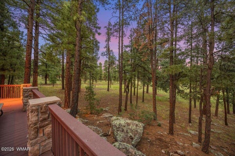 Tiny photo for 36 County Rd 2147, Alpine, AZ 85920 (MLS # 262743)