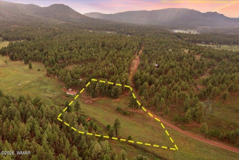 Tiny photo for 36 County Rd 2147, Alpine, AZ 85920 (MLS # 262743)