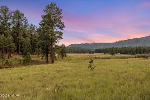 Tiny photo for 36 County Rd 2147, Alpine, AZ 85920 (MLS # 262743)